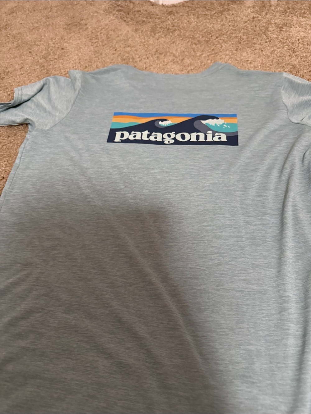 Patagonia Light Blue Kids Short Sleeve Tee with Color Block Logo